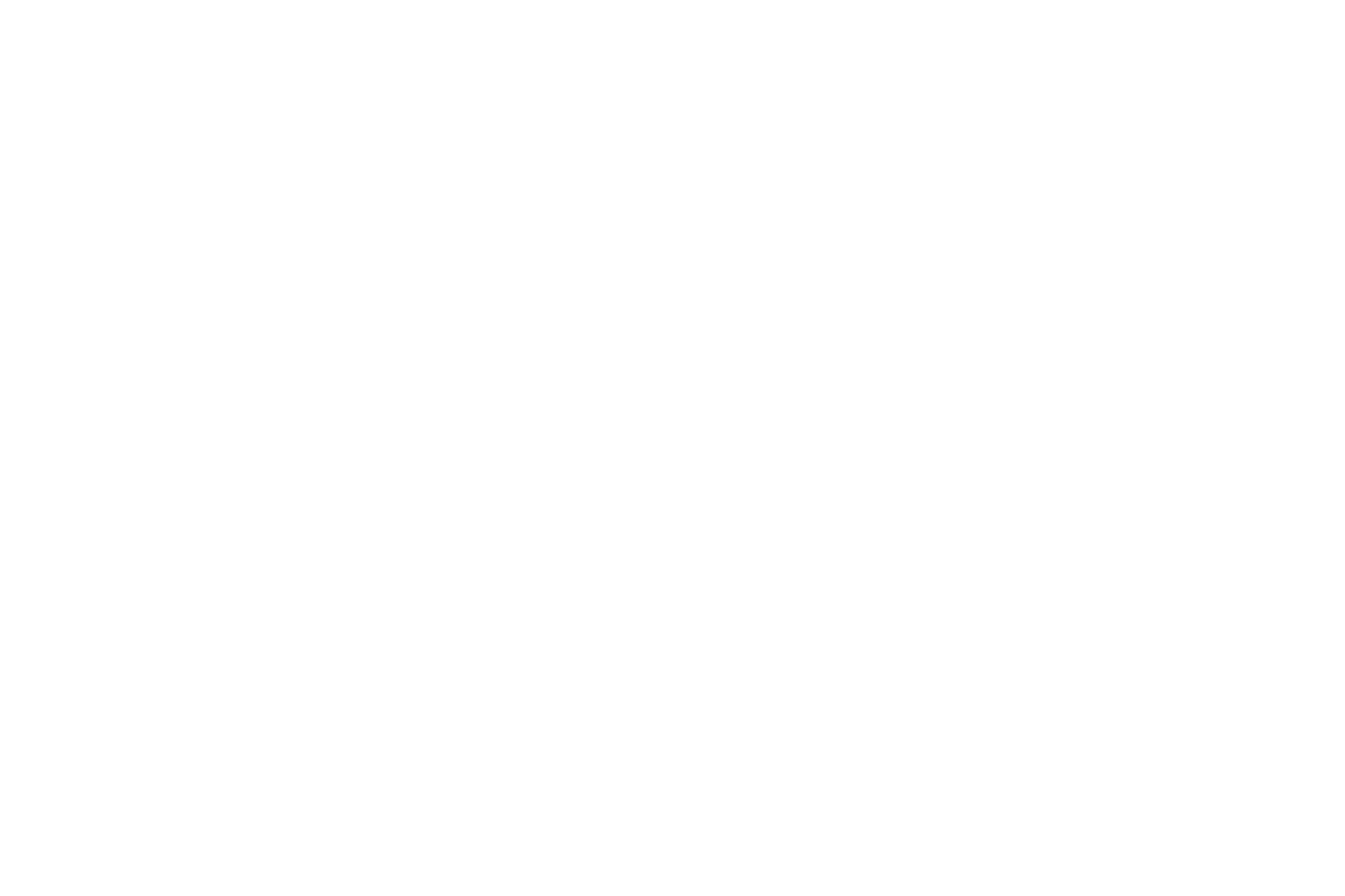Instituto Vértice